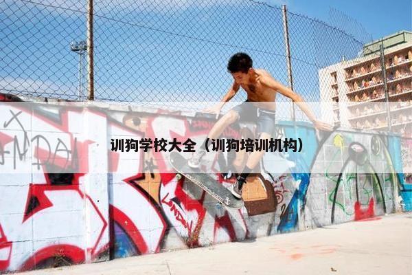 训狗学校大全（训狗培训机构）
