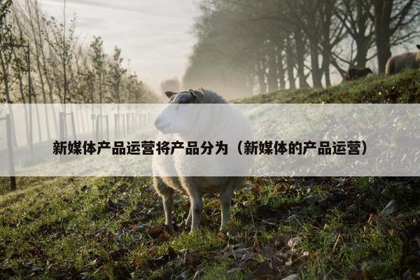 新媒体产品运营将产品分为（新媒体的产品运营）