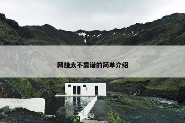 网赚太不靠谱的简单介绍