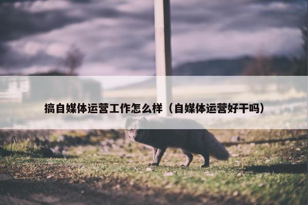 搞自媒体运营工作怎么样（自媒体运营好干吗）