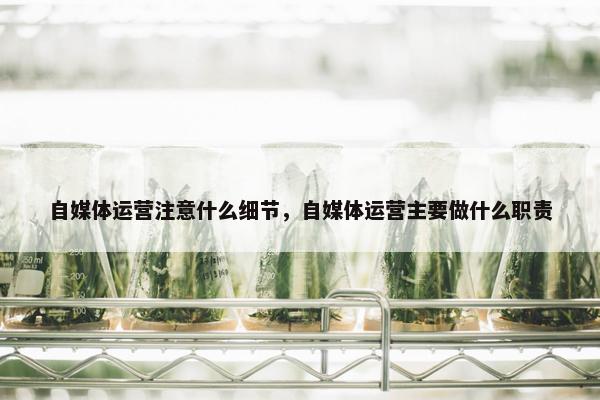 自媒体运营注意什么细节，自媒体运营主要做什么职责