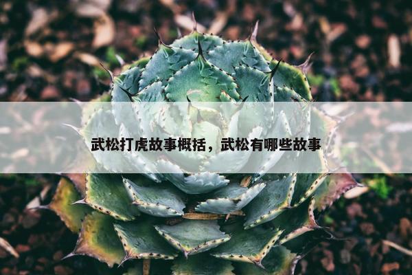 武松打虎故事概括，武松有哪些故事