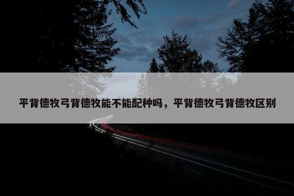 平背德牧弓背德牧能不能配种吗，平背德牧弓背德牧区别