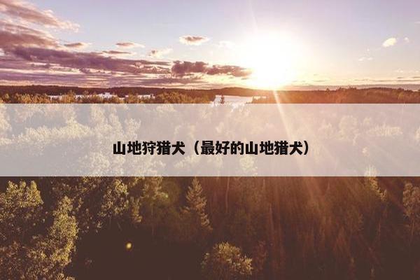 山地狩猎犬（最好的山地猎犬）