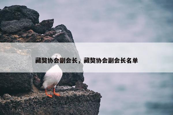 藏獒协会副会长，藏獒协会副会长名单