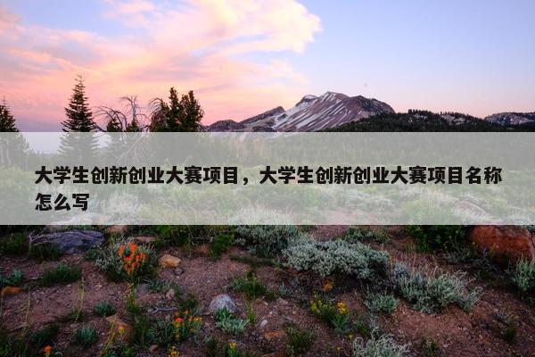 大学生创新创业大赛项目，大学生创新创业大赛项目名称怎么写