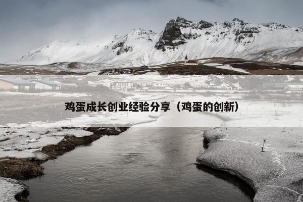 鸡蛋成长创业经验分享（鸡蛋的创新）