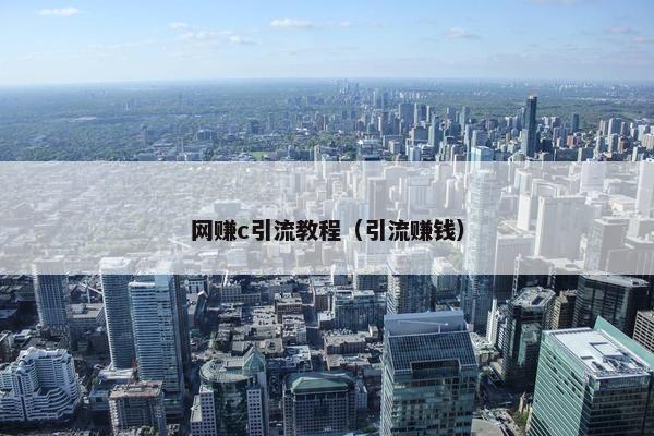 网赚c引流教程（引流赚钱）