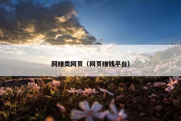 网赚类网页（网页赚钱平台）