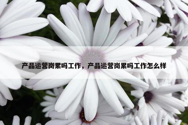 产品运营岗累吗工作，产品运营岗累吗工作怎么样