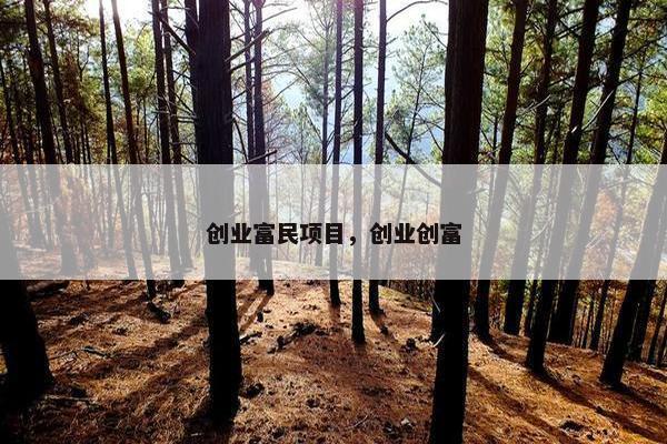 创业富民项目，创业创富