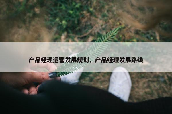 产品经理运营发展规划，产品经理发展路线