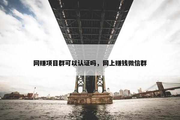网赚项目群可以认证吗，网上赚钱微信群