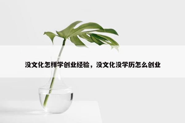 没文化怎样学创业经验，没文化没学历怎么创业