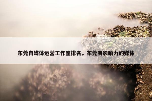 东莞自媒体运营工作室排名，东莞有影响力的媒体