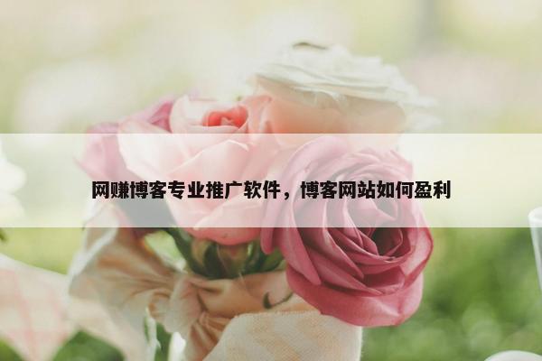 网赚博客专业推广软件，博客网站如何盈利