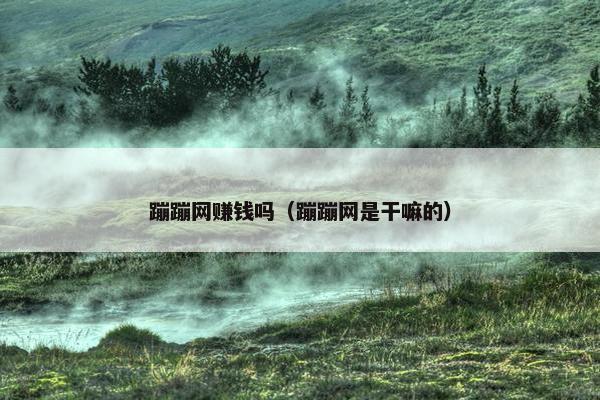 蹦蹦网赚钱吗（蹦蹦网是干嘛的）