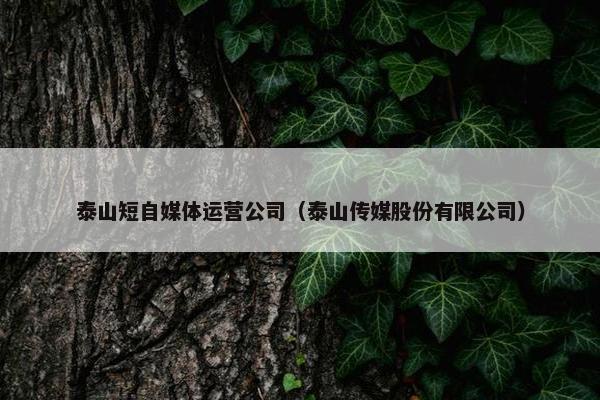 泰山短自媒体运营公司（泰山传媒股份有限公司）