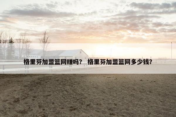格里芬加盟篮网赚吗？ 格里芬加盟篮网多少钱？
