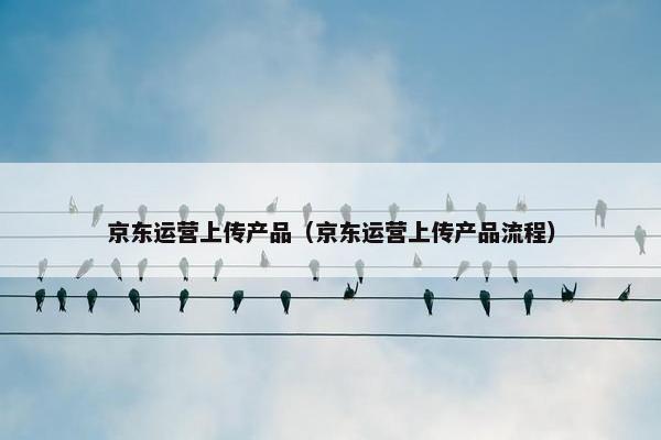京东运营上传产品（京东运营上传产品流程）