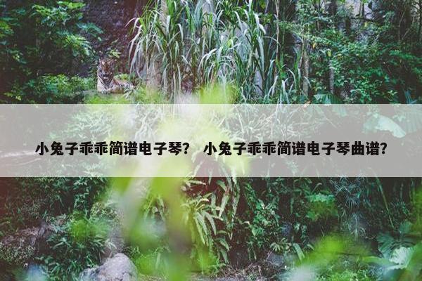 小兔子乖乖简谱电子琴？ 小兔子乖乖简谱电子琴曲谱？