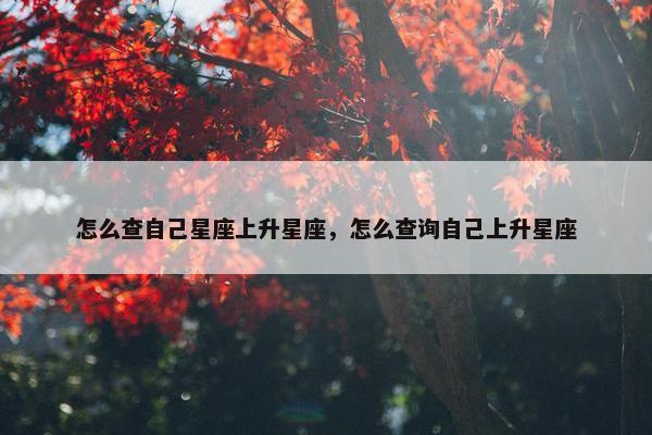 怎么查自己星座上升星座，怎么查询自己上升星座