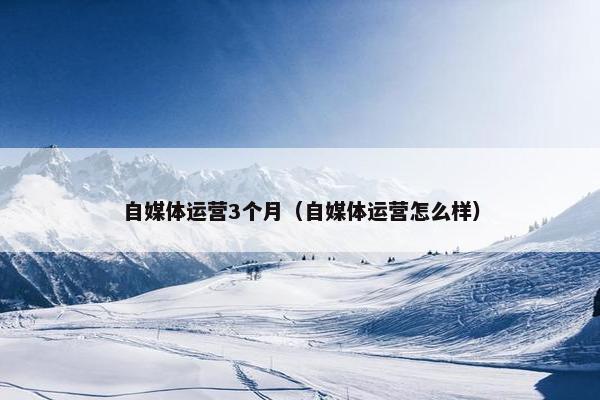 自媒体运营3个月（自媒体运营怎么样）