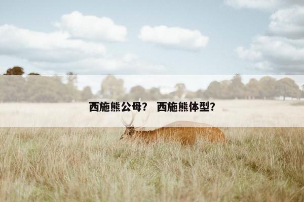 西施熊公母？ 西施熊体型？