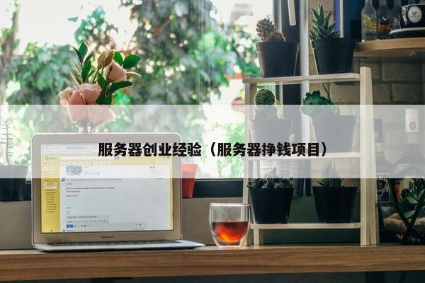 服务器创业经验（服务器挣钱项目）
