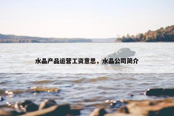 水晶产品运营工资意思，水晶公司简介