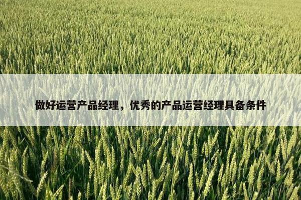 做好运营产品经理，优秀的产品运营经理具备条件
