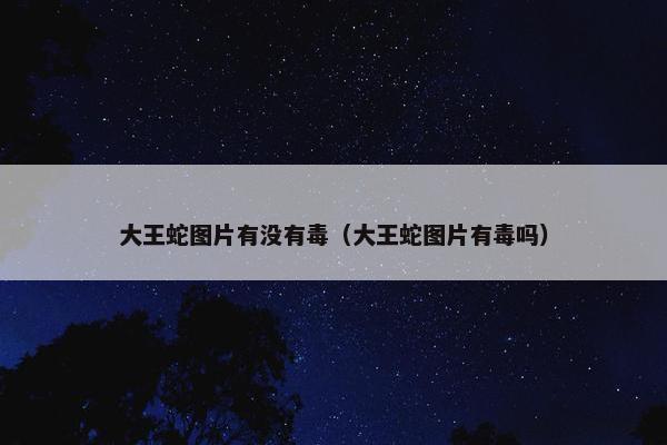 大王蛇图片有没有毒（大王蛇图片有毒吗）