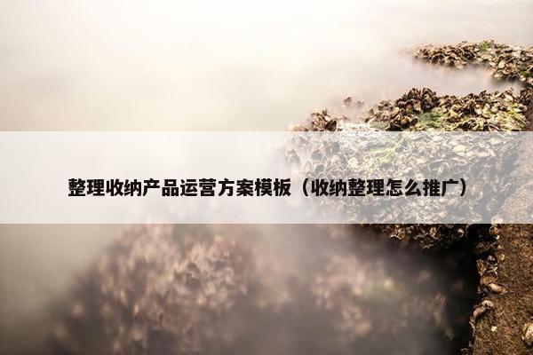 整理收纳产品运营方案模板（收纳整理怎么推广）