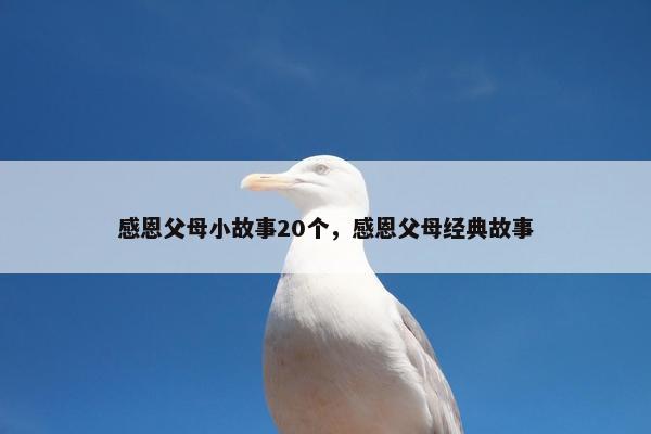 感恩父母小故事20个，感恩父母经典故事