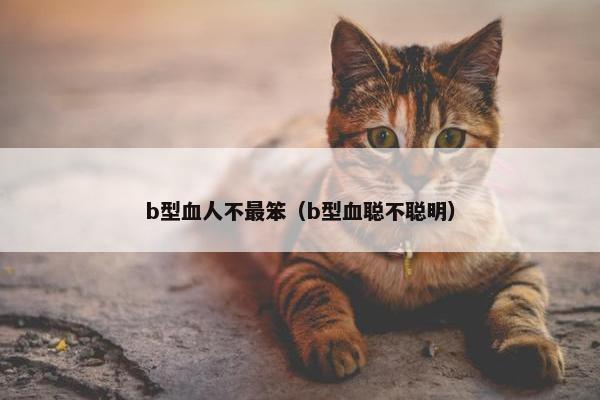 b型血人不最笨（b型血聪不聪明）