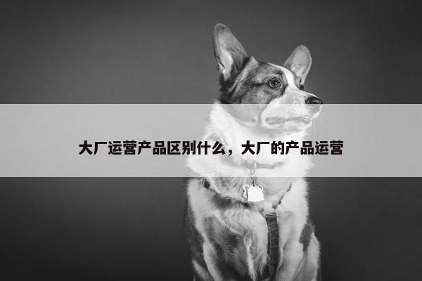 大厂运营产品区别什么，大厂的产品运营