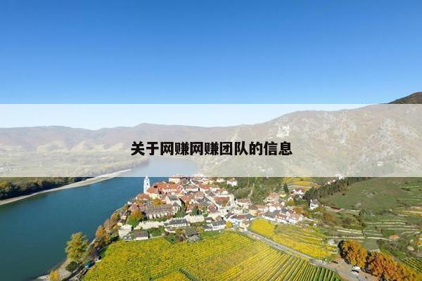 关于网赚网赚团队的信息