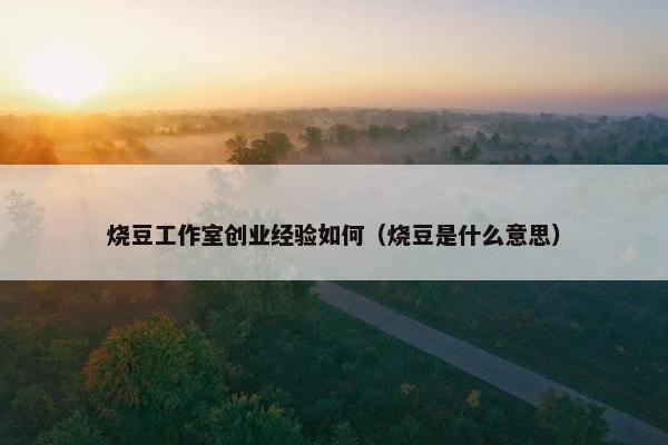 烧豆工作室创业经验如何（烧豆是什么意思）