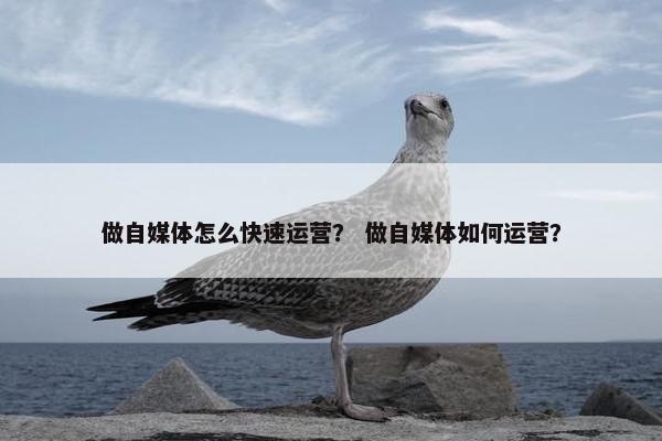 做自媒体怎么快速运营？ 做自媒体如何运营？