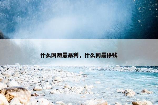 什么网赚最暴利，什么网最挣钱