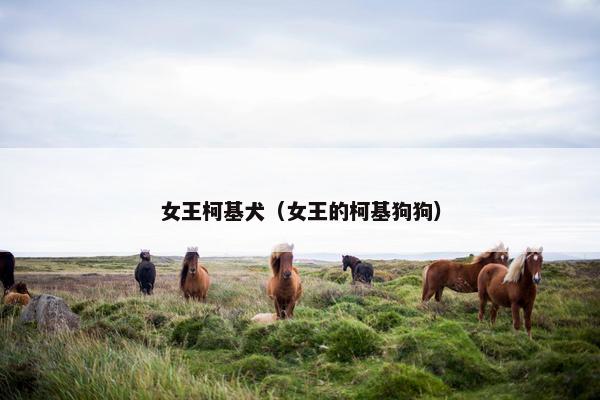 女王柯基犬（女王的柯基狗狗）