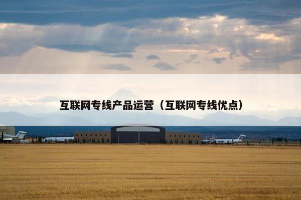 互联网专线产品运营（互联网专线优点）