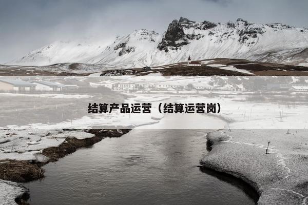 结算产品运营（结算运营岗）
