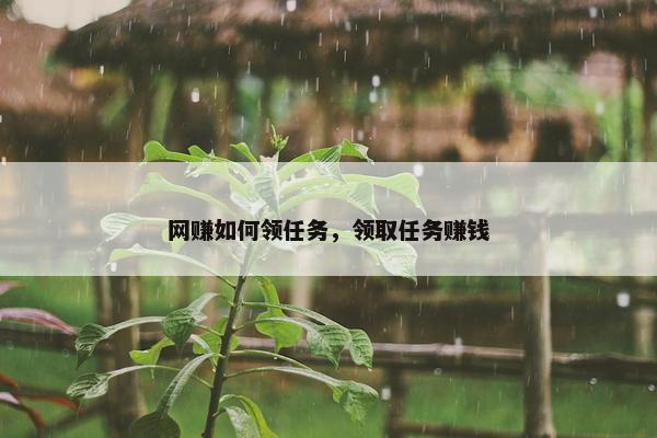 网赚如何领任务，领取任务赚钱