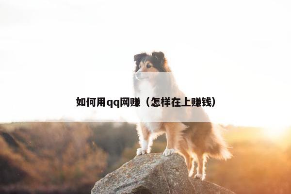 如何用qq网赚（怎样在上赚钱）