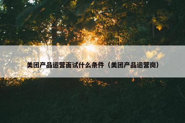 美团产品运营面试什么条件（美团产品运营岗）