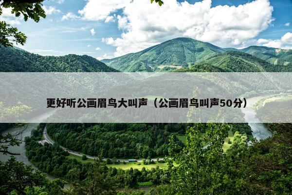 更好听公画眉鸟大叫声（公画眉鸟叫声50分）