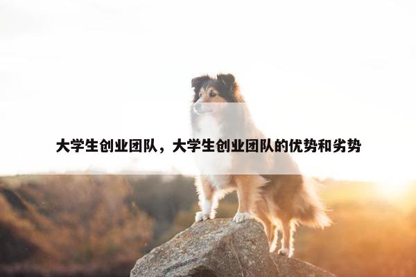 大学生创业团队，大学生创业团队的优势和劣势