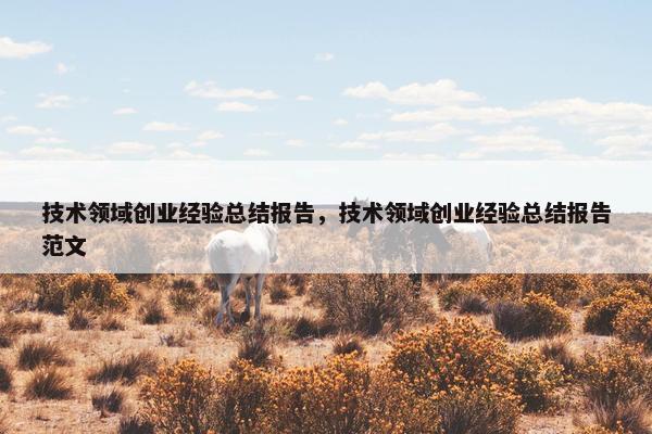 技术领域创业经验总结报告，技术领域创业经验总结报告范文