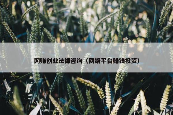 网赚创业法律咨询（网络平台赚钱投资）